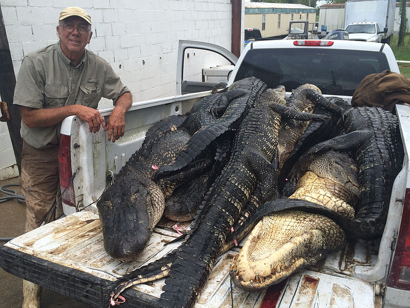 Daniel With The Day's Effort At Filling Those Tags!