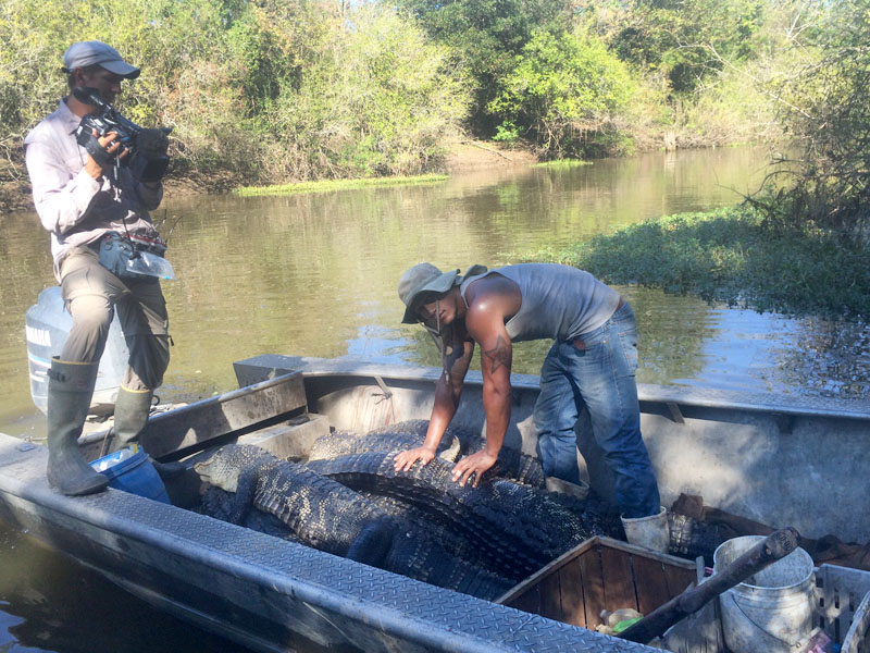 Behind The Scenes Of "Swamp People" Season 7